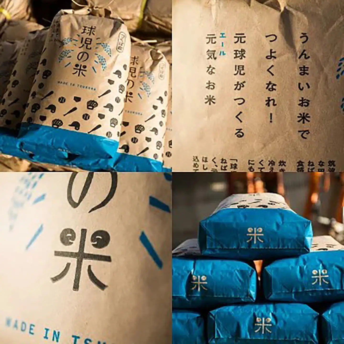 【玄米】令和7年産 ミルキークイーン玄米 10kg 米
