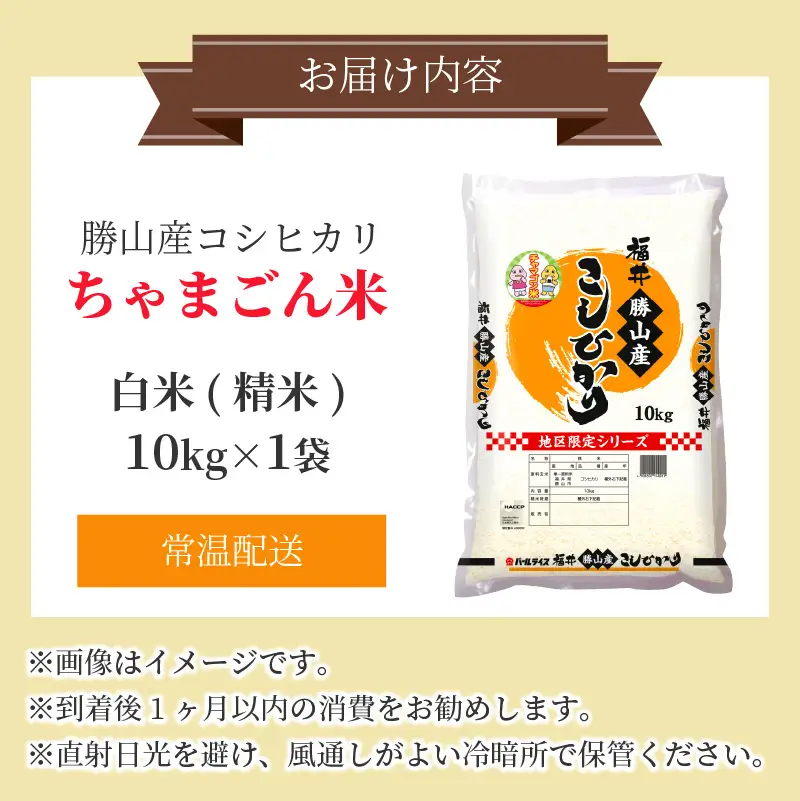 米 コシヒカリ 勝山産 ちゃまごん米 10kg 精米 [C-010018]