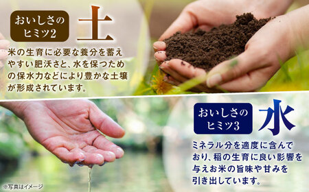 【令和7年産】【特Aランク受賞実績あり！】はるみ 20kg【なんかいファーム】 米 お米 精米 白米 はるみ 新米 令和7年産[BDBD004]