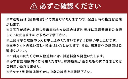 福岡県柳川市 日本旅行 地域限定旅行クーポン30,000円分（30,000円分×1枚）旅行クーポン 旅行 観光 クーポン 家族旅行 柳川市