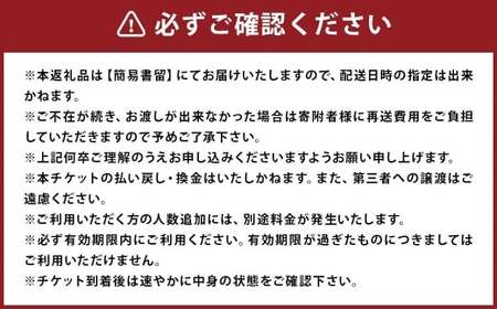 福岡県柳川市 日本旅行 地域限定旅行クーポン60,000円分（30,000円分×2枚）旅行クーポン 旅行 観光 クーポン 家族旅行 柳川市