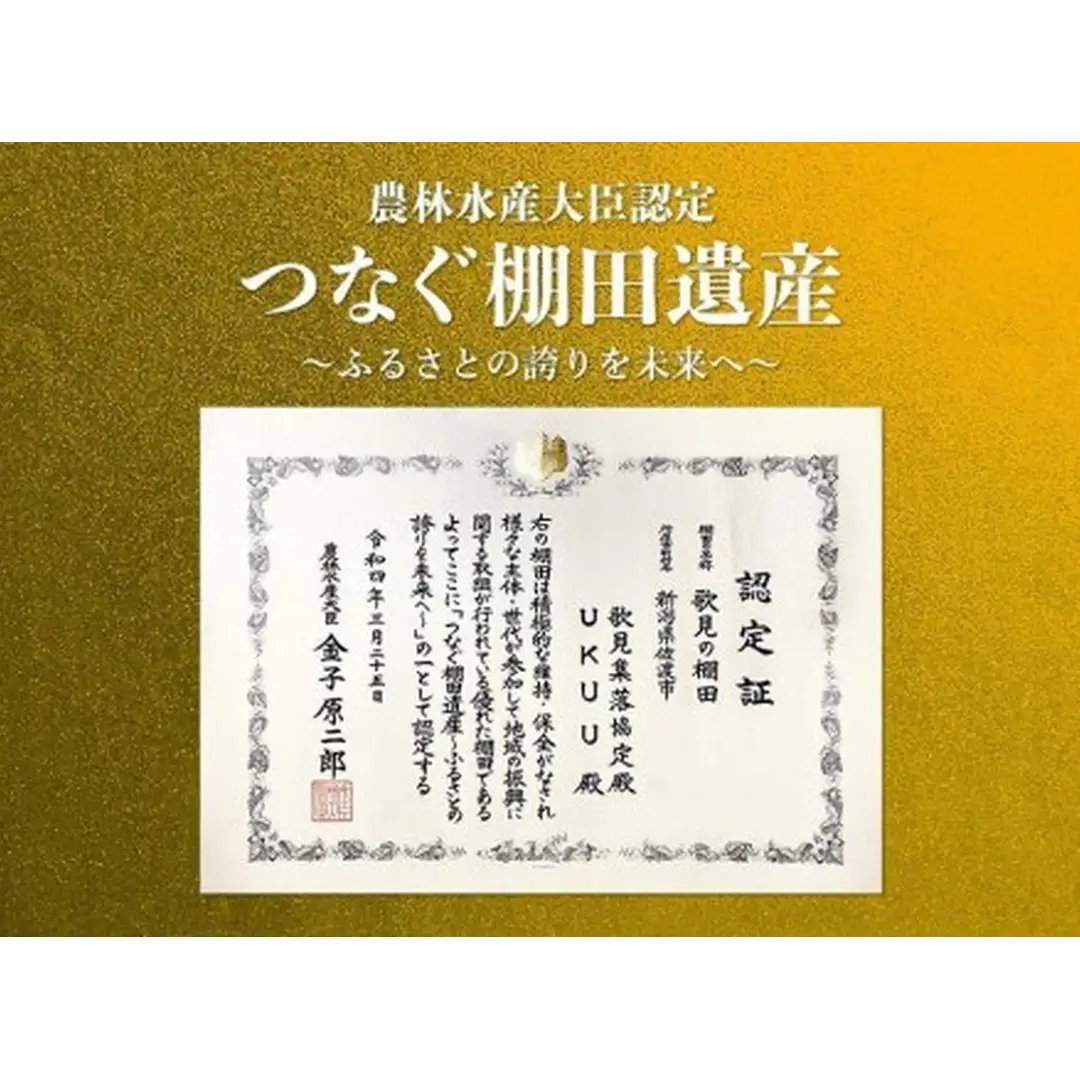米 コシヒカリ 佐渡産 ( 5kg ) 米杜氏【令和7年米】