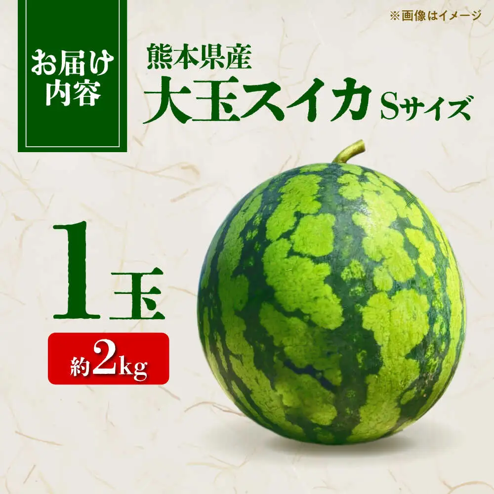 【先行予約】 大玉スイカ Sサイズ 1玉入り 約2kg  すいか 小玉 熊本 フルーツ 野菜 果物 【日本フルーツ株式会社】[ZFJ038]