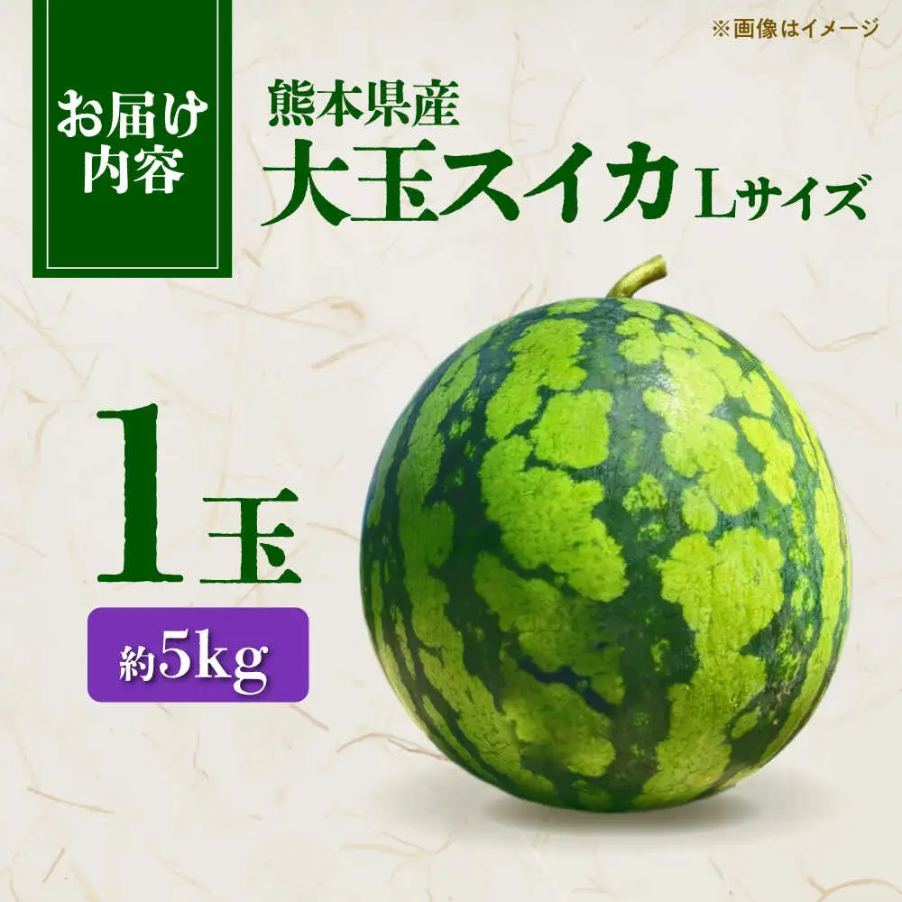 【先行予約】 大玉スイカ Lサイズ 1玉入り 約5kg すいか 大玉 熊本 フルーツ 野菜 果物 【日本フルーツ株式会社】[ZFJ045]
