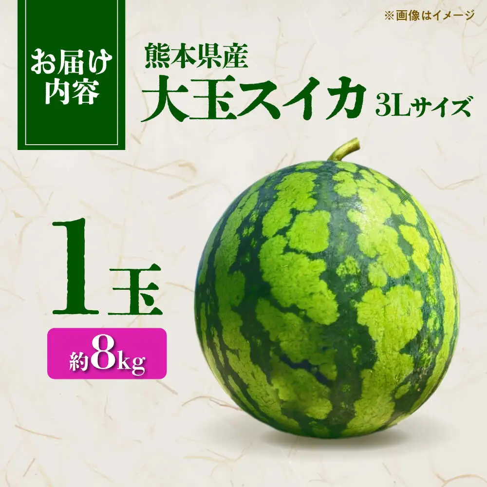 【先行予約】 大玉スイカ 3Lサイズ 1玉入り 約8kg すいか 大玉 熊本 フルーツ 野菜 果物 【日本フルーツ株式会社】[ZFJ047]