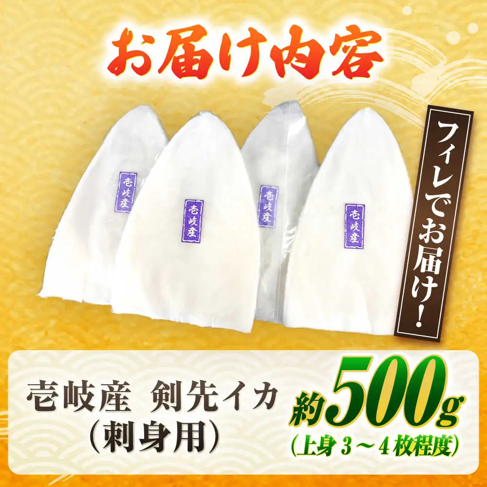 【お中元】剣先イカ 刺身用 500g [JCC024] イカ刺し