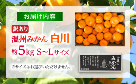 【先行予約】 訳あり 温州みかん 『白川』 約5kg S～Lサイズ 【奥村果実園】[ZFK003]