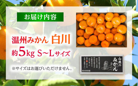 【先行予約】 温州みかん 『白川』 約5kg S～Lサイズ 【奥村果実園】[ZFK007]