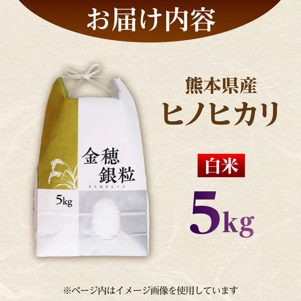  ヒノヒカリ 白米 5kg（5kg×1袋） 【株式会社 岩下農園】[ZFS003]