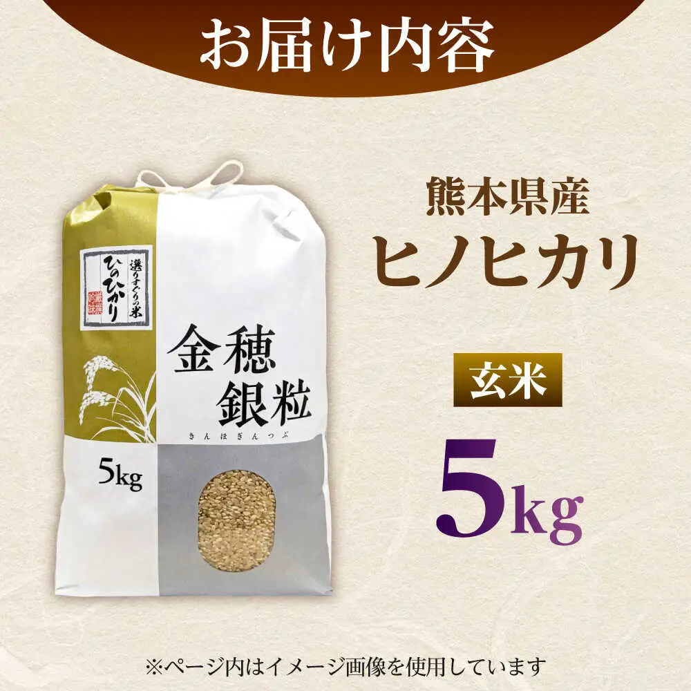  ヒノヒカリ 玄米 5kg（5kg×1袋） 【株式会社 岩下農園】[ZFS006]