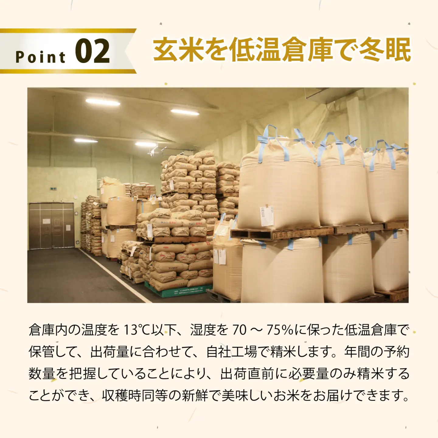 【無洗米】令和7年産 ふくい東郷米 有機JASコシヒカリ 3kg [A-020029_03] /  コシヒカリ