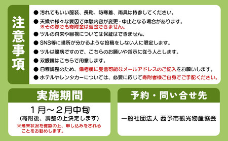 ＜ツルのねぐら・採食場観察ツアー（ねぐら立ち見学無し）＞ つる ツル 鶴 鳥 野鳥 貴重 体験 観察 ツアー ねぐら ネグラ ねぐら観察 ねぐら入り ねぐら立ち ナベヅル 鍋鶴 マナヅル 真鶴 真名鶴 野鳥観察 採食場 西予市観光物産協会 愛媛県 西予市 USB0009