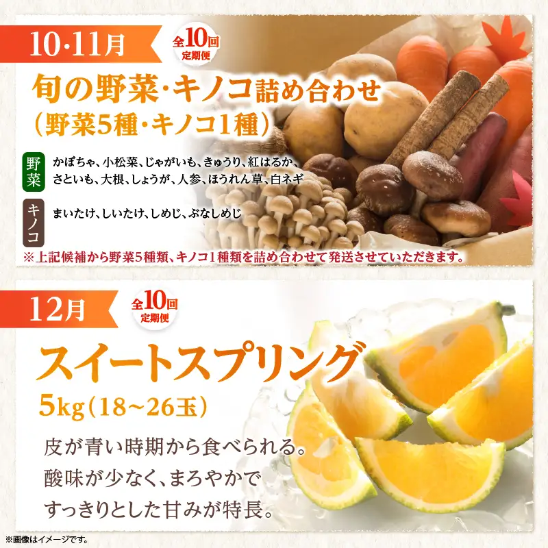 【全10回お届け】特選！！宮崎県綾町産 果物・野菜定期便 [Y21]_A0113-0041