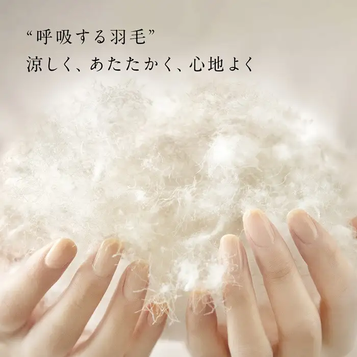 リファ VITALPILLOW PREMIUM