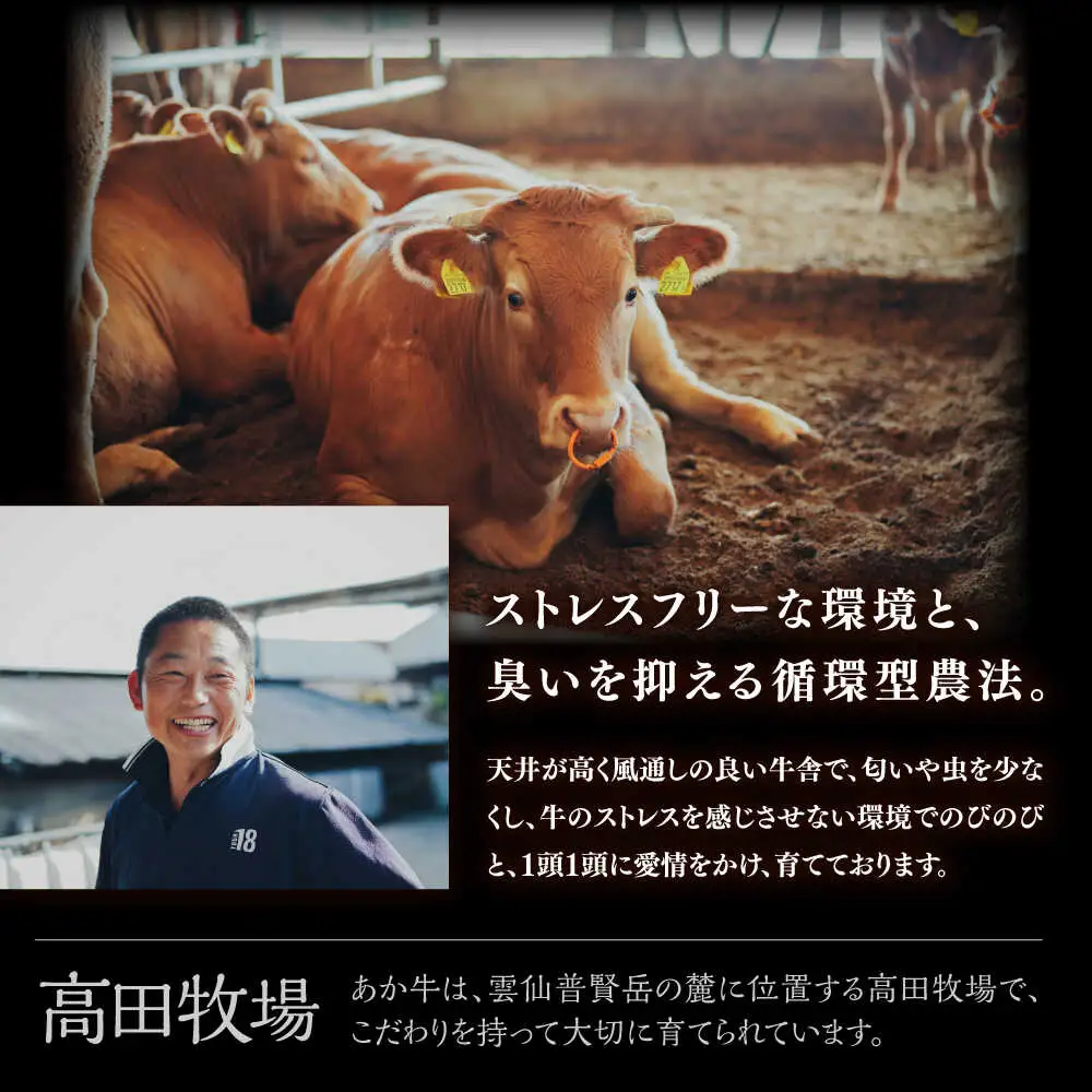 【希少】雲仙 あか牛 ローストビーフ 250g / 国産 長崎和牛 牛 牛肉 赤身 加工品 冷凍 / 南島原市 / 株式会社高田牧場[SGQ001]