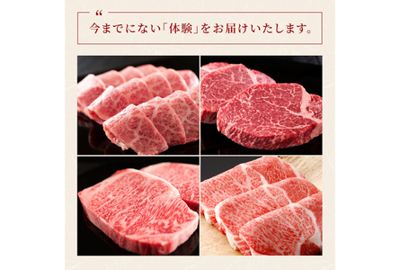 AI277 長崎和牛 一頭分買い 一括納品