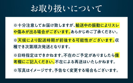 【3回定期便】佐賀県産イチゴ「さがほのか」約440g /有限会社しげやす[UEQ004]いちご