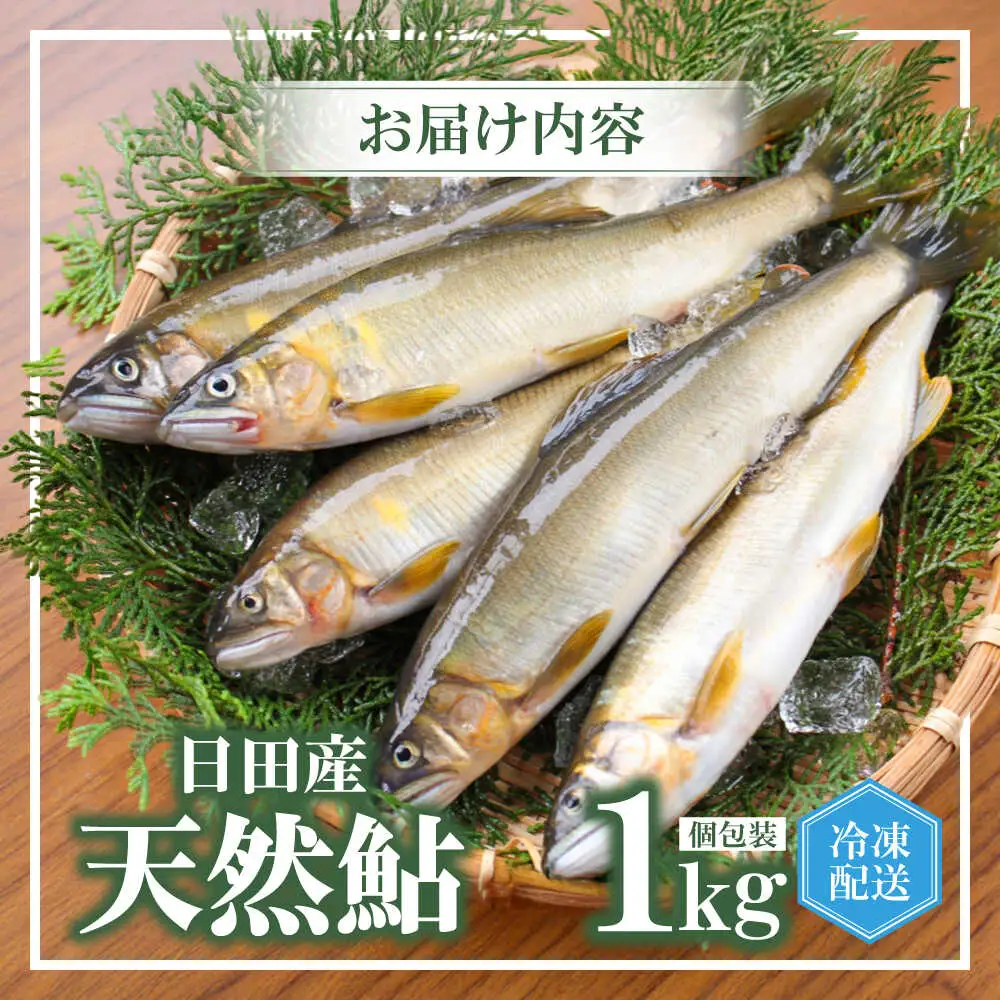 日田産天然鮎(冷凍)1kg　日田市 / 日田漁業協同組合 魚 あゆ アユ[ARFJ002]
