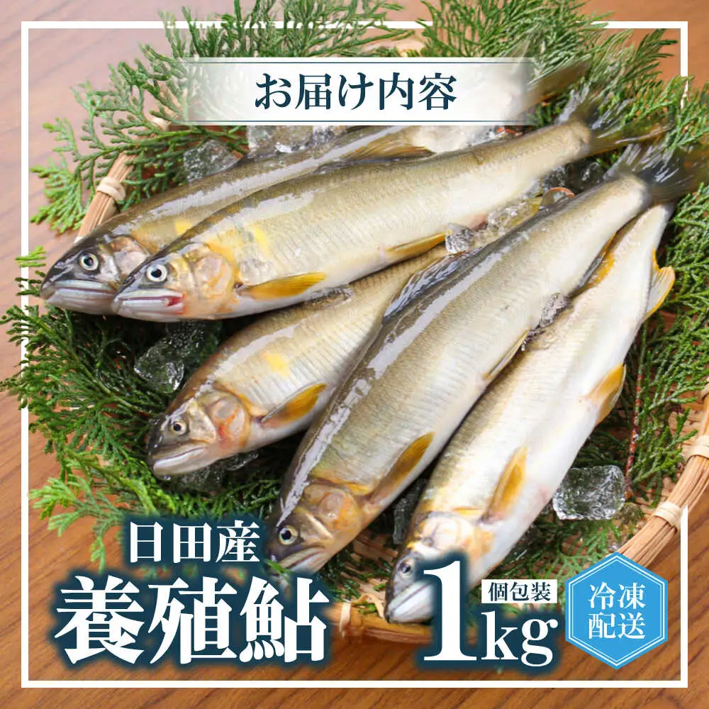 日田産養殖鮎(冷凍)1kg　日田市 / 日田漁業協同組合 魚 あゆ アユ[ARFJ003]