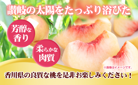 桃 さぬきの桃 讃岐の太陽育ち 瀬戸内 桃【約1.8kg 5〜10玉】 【46311931】