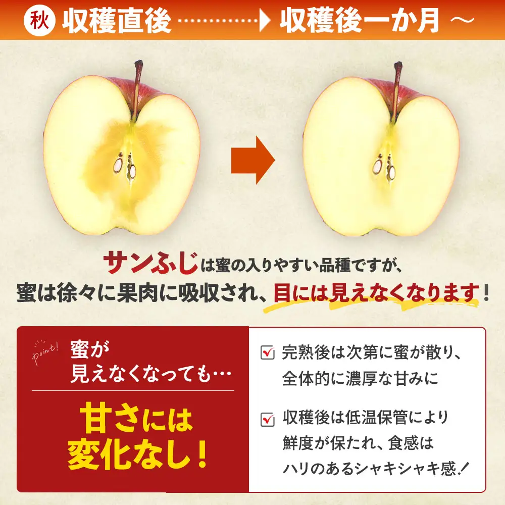 りんご 訳あり 青森県産 サンふじ 約3kg  【高原農園】 りんご