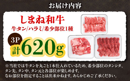 焼肉 希少部位焼肉セット（620g）[AIEF014]