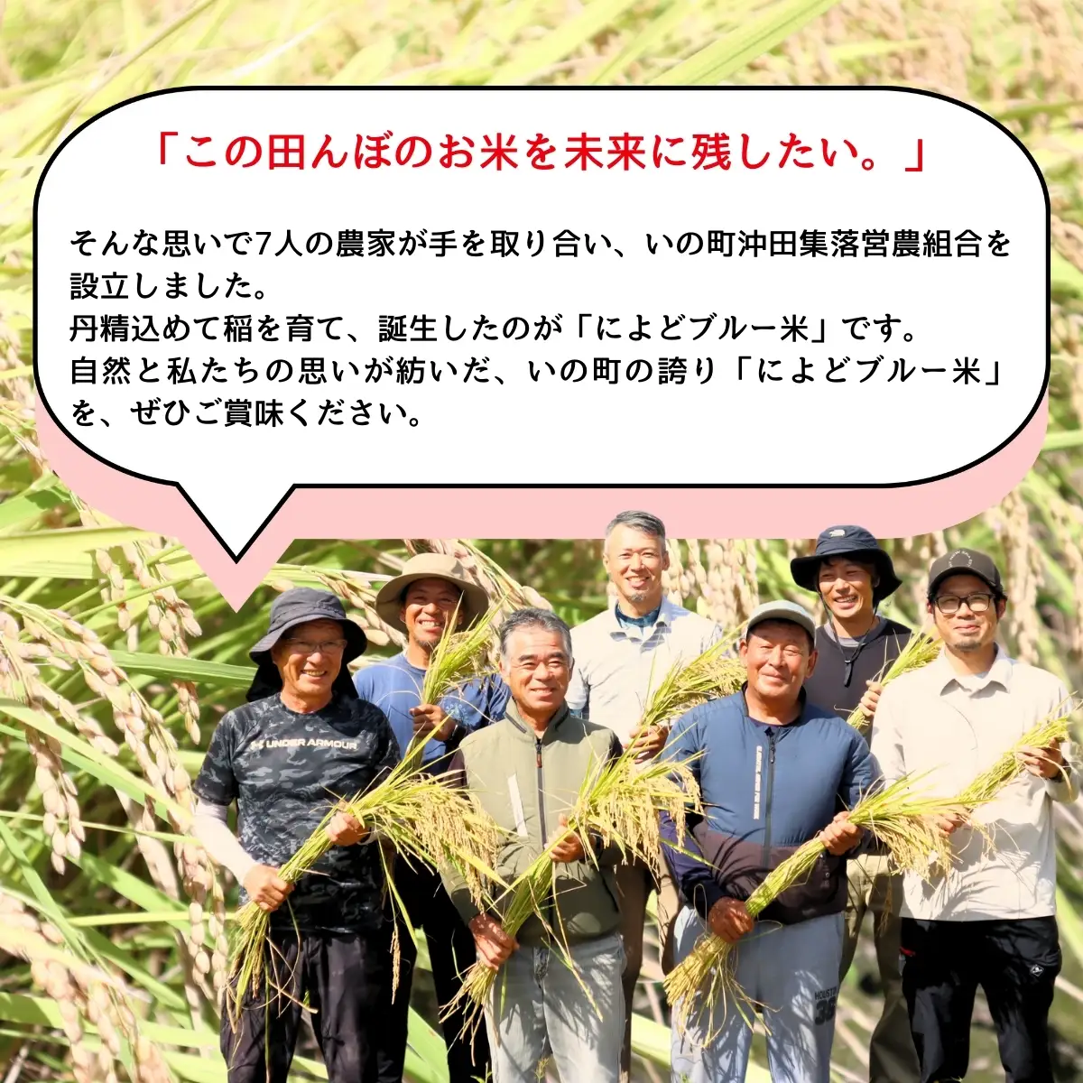 によどブルー米 5kg （コシヒカリ）