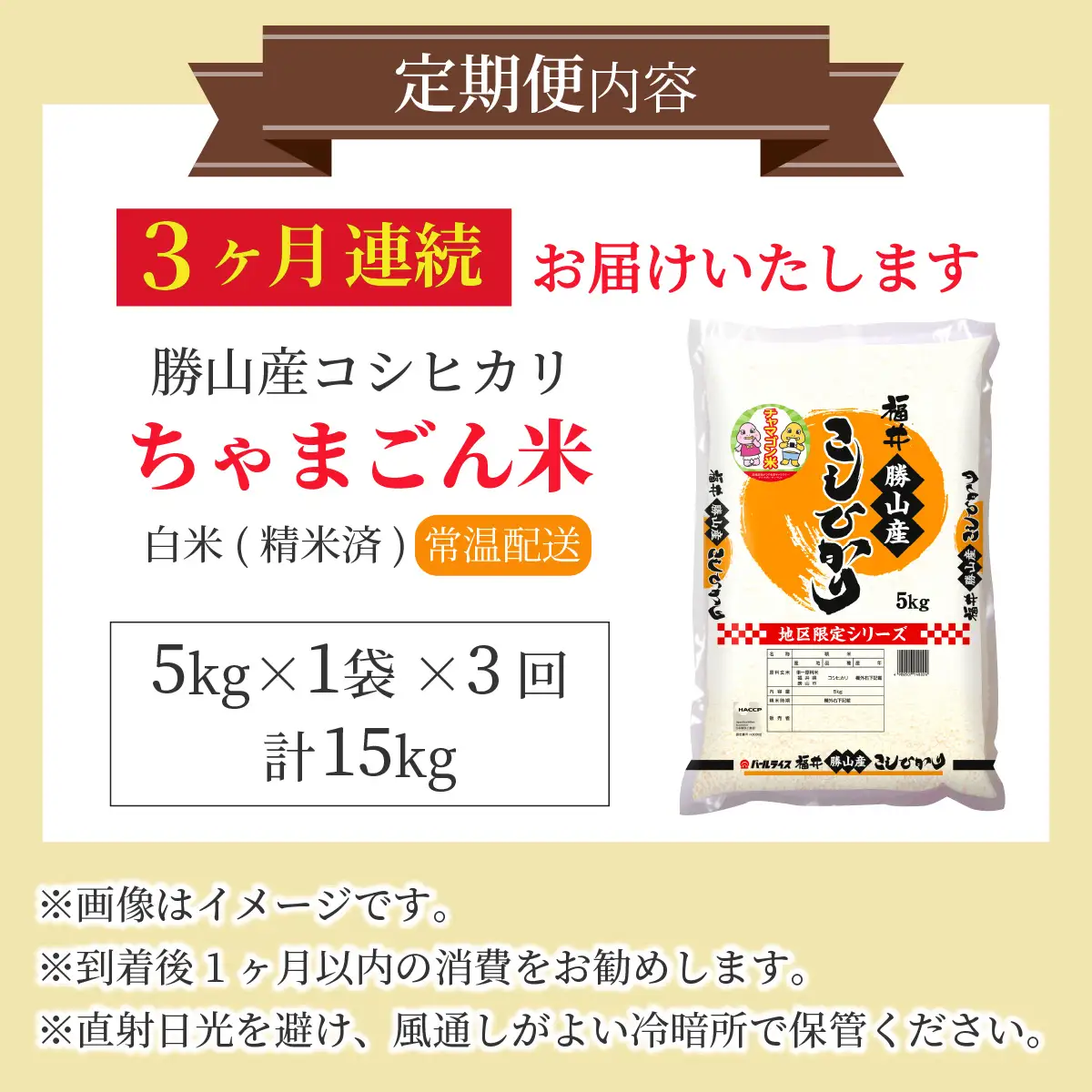米 コシヒカリ 勝山産 ちゃまごん米 5kg×3回  定期便 [E-010034]