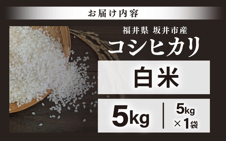 先行予約 【令和8年産・新米】 坂井市産 コシヒカリ 白米 5kg (中瀬農産) 2026年10月以降順次発送予定 精米 おこめ [A-20507]
