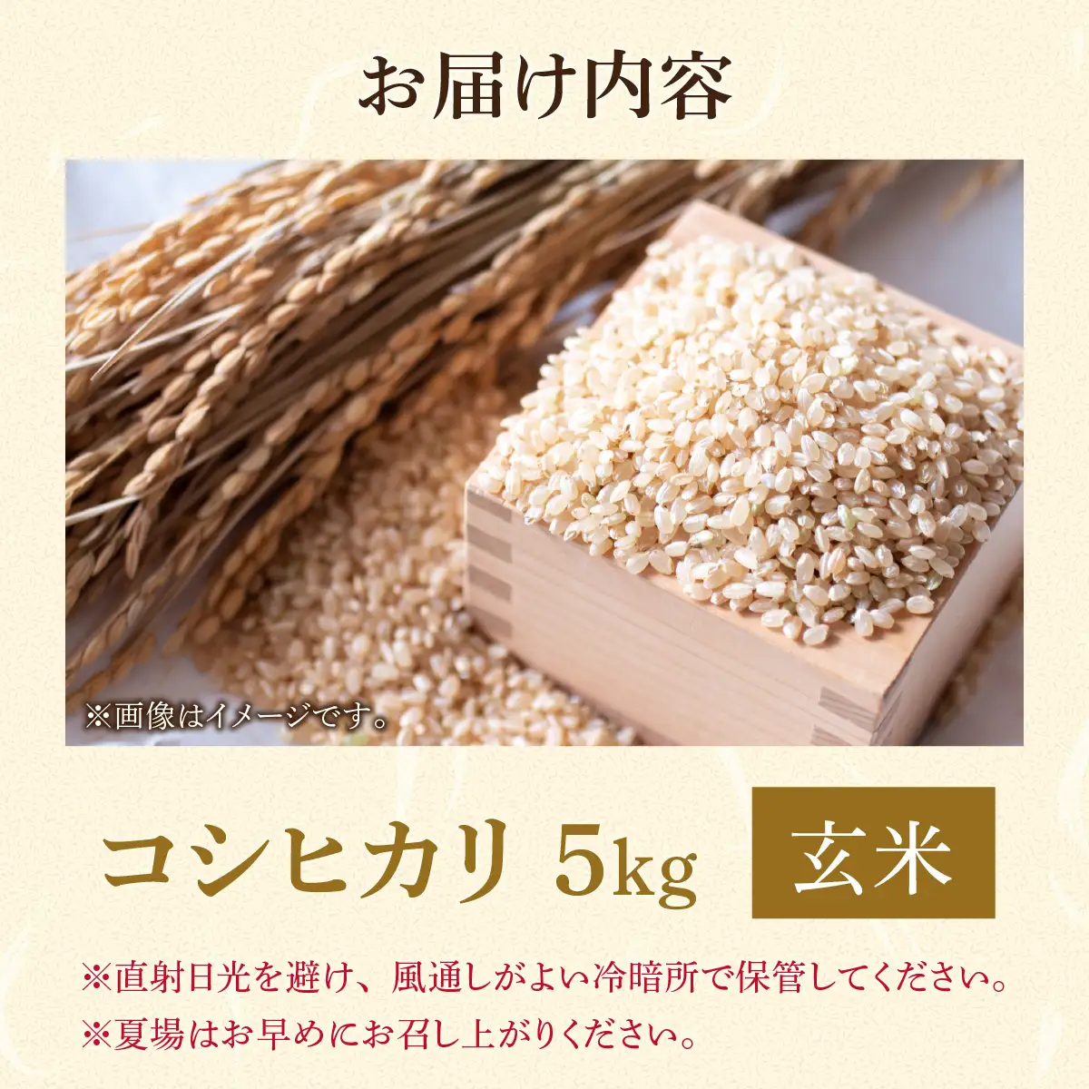 米 コシヒカリ 勝山市産 田中さんち 玄米 5kg [A-080007]