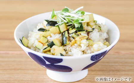 【瀬戸焼】 川 Mサイズ souzyu-en modern 【双寿園】/ 茶碗 食器 モダン / 瀬戸市[BBBI028]