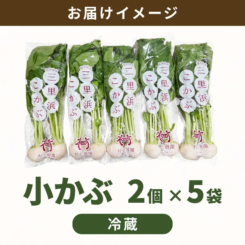 先行予約 村上農園産 小かぶ5パック入り (2玉×5袋) 計10個 2026年10月中旬以降順次発送予定 野菜 かぶ 新鮮 [A-16517]