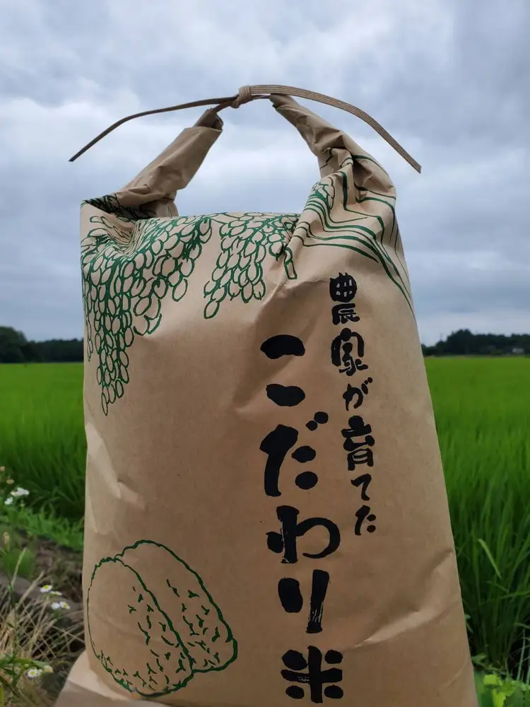 【新米】高根沢町産コシヒカリ（精米）10kg ※2026年10月～発送
