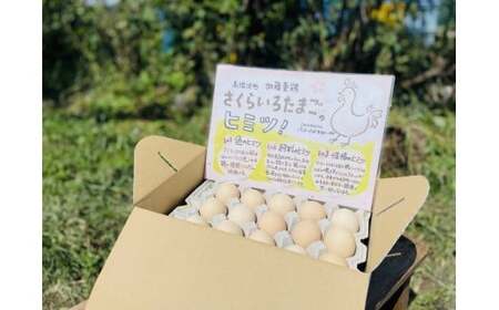 【12か月定期便】高根沢町産 加藤養鶏場のピンクたまご M～Lサイズ 27個＋割れ補償3個計30個×12カ月 360個 ｜ 卵 玉子 たまご 選べる ピンク卵 ピンクたまご 生卵 国産 濃厚 鶏卵 コク 旨み ※北海道・沖縄・離島への配送不可
