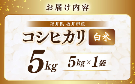 【先行予約】【令和8年産・新米】 坂井市産 コシヒカリ 白米 5kg (アグリ川崎) 【2026年10月以降順次発送予定】 精米 おこめ [A-20509]