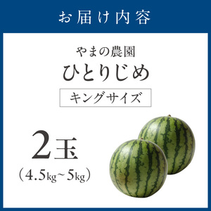 やまの農園 「ひとりじめ」キングサイズ 2玉≪先行予約≫【2027年6月中旬より順次発送予定】【1265-1】