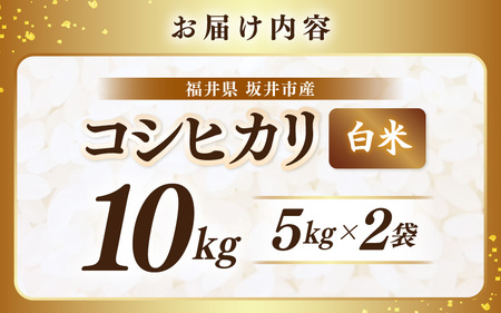 【先行予約】【令和8年産・新米】 坂井市産 コシヒカリ 白米 10kg (5kg×2袋) (アグリ川崎) 【2026年10月以降順次発送予定】 精米 おこめ [A-20510]
