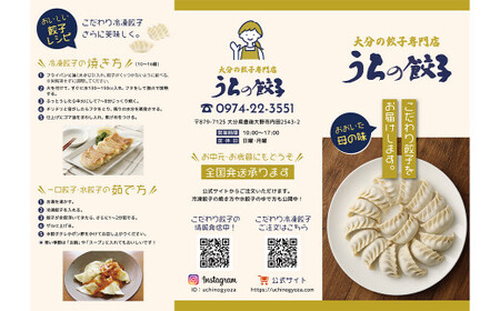 051-1168x1 うちの餃子 焼き餃子 3袋セット 合計36個 餃子のタレ付き 餃子 ぎょうざ ギョウザ  冷凍 おかず おつまみ 国産 豚肉 中華 