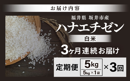 【先行予約】【令和8年産・新米】 定期便 ≪3ヶ月連続お届け≫坂井市産 ハナエチゼン 白米 5kg×3回 計15kg (中瀬農産) 【2026年10月以降順次発送予定】 【米 こめ お米 精米 ブランド米 華越前 国産】 [B-20502]