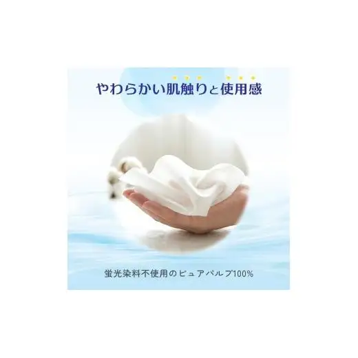 【3回｜3ヶ月ごと定期便】エルモア 水に流せるティシュー 60箱 5個×12パック ティッシュ ティッシュペーパー ボックスティッシュ 日用品 消耗品 備蓄 防災 愛媛県 四国中央市