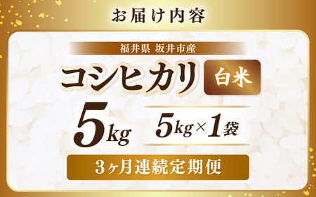 【先行予約】【令和8年産・新米】 定期便 ≪3ヶ月連続お届け≫ 坂井市産 コシヒカリ 白米 5kg×3回 計15kg (アグリ川崎) 【2026年10月以降順次発送予定】 【米 こめ お米 精米 ブランド米 こしひかり 国産】 [C-20503]