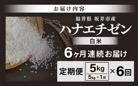 【先行予約】【令和8年産・新米】 定期便 ≪6ヶ月連続お届け≫坂井市産 ハナエチゼン 白米 5kg×6回 計30kg (中瀬農産) 【2026年10月以降順次発送予定】 【米 こめ お米 精米 ブランド米 華越前 国産】 [E-20501]