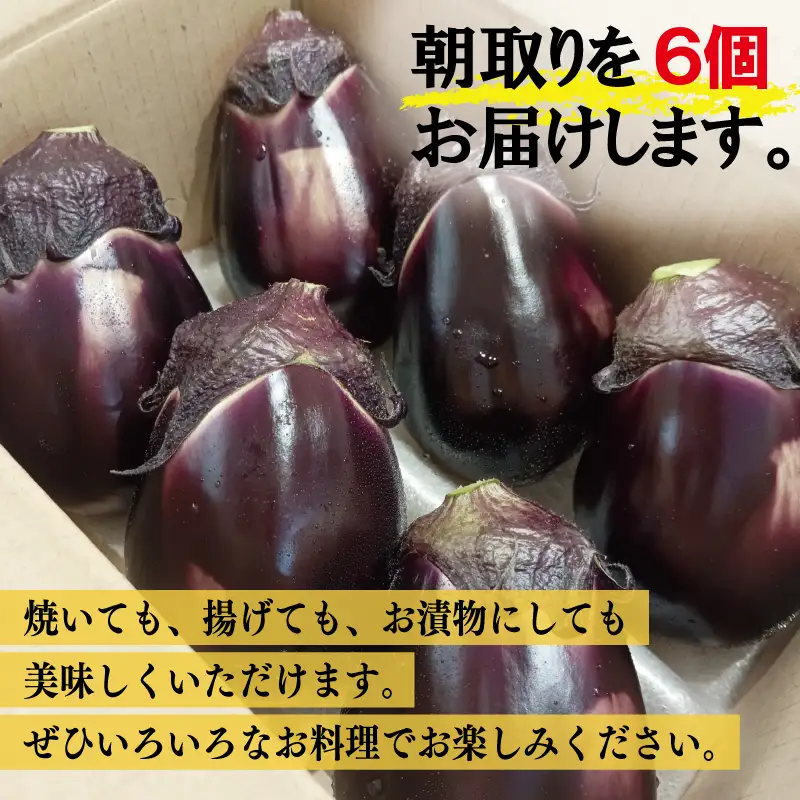 【先行予約】泉州 泉佐野市産 ハウス水なす 6個