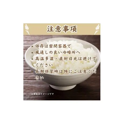 モチモチふっくら「ミルキークイーン」精米5kg ／ 米 こめ コメ お米 ご飯 ごはん ミルキークイーン 白米 精米 令和7年産 5kg 利根町 送料無料