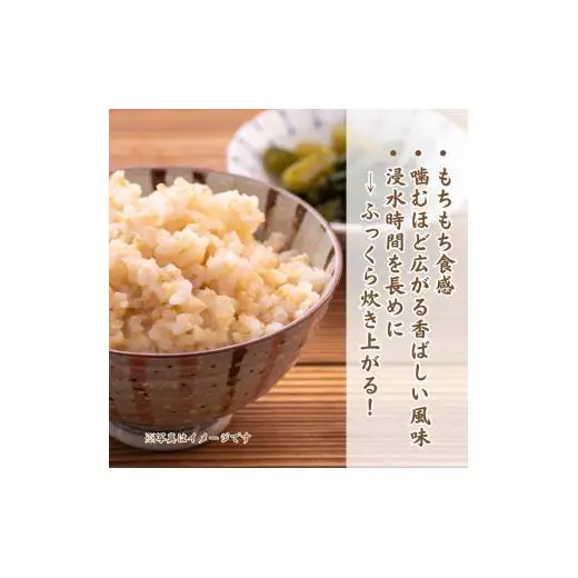 利根町産　コシヒカリ　玄米　5kg ／ 米 こめ コメ お米 おこめ コシヒカリ こしひかり 令和7年産 玄米 ごはん ご飯 5kg 健康志向 茨城県 利根町 産地直送 送料無料
