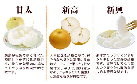 梨 熊本県産 玉東梨 約5kg 坂村梨園 熊本 梨