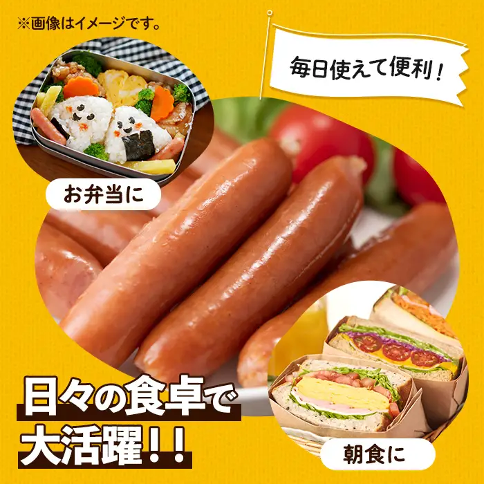 ＜定期便・計3回(連続月)＞ ナンチク 加工品 セット ( Newポークウインナー / 焼き豚 / サラダハム ) 【ナンチク】i1205-A