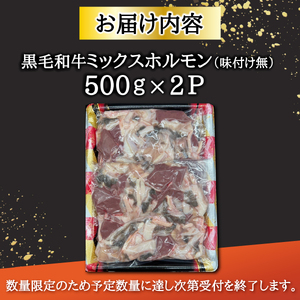 ホルモン 宮崎県産 ミックスホルモン 500g×2P 計1kg ホルモン  