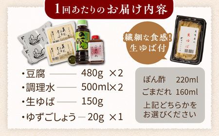 定期便  嬉野温泉湯どうふ2丁＋生ゆばセット藤川とうふ店 [NBT109] 全12回