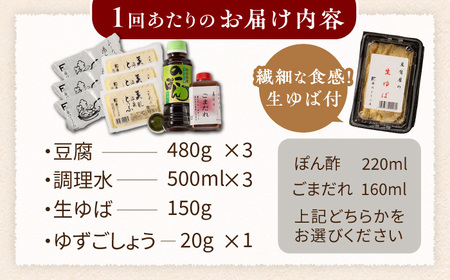 定期便  嬉野温泉湯どうふ3丁＋生ゆばセット藤川とうふ店 [NBT112] 全12回